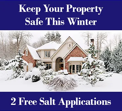 Affordable landscaping services in Mount Prospect, IL - Tommy Pollina Landscape Company