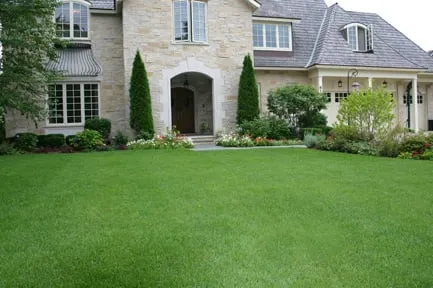 Expert lawn care service with custom design across Mount Prospect, IL - Tommy Pollina Landscape Company