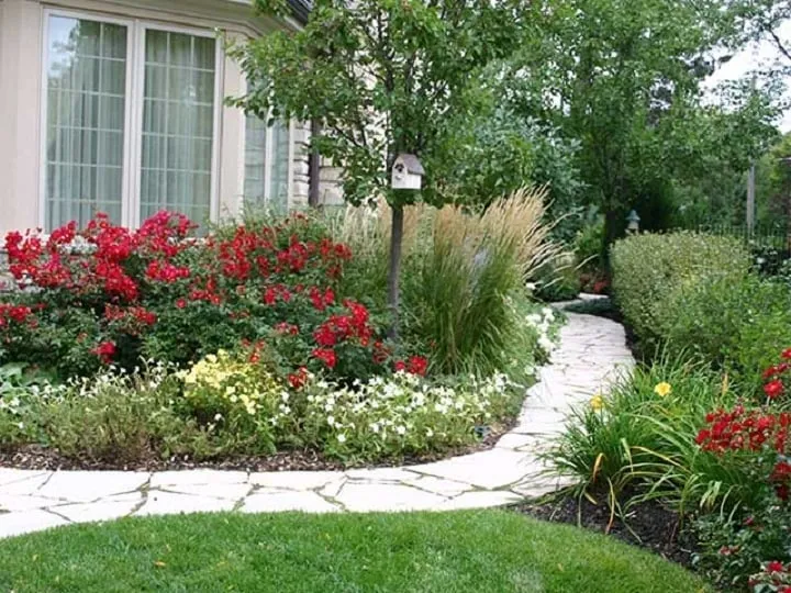 Local lawn care service near you in Mount Prospect, IL by Tommy Pollina Landscape Company