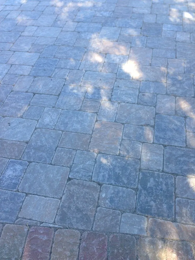 Trusted yard maintenance in Hayward, CA by Tommy Tran Landscaping