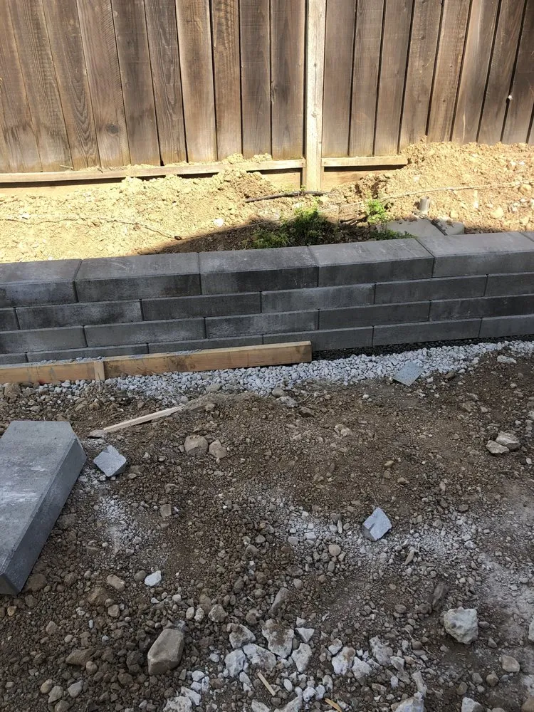 Trusted yard cleanup service experts serving Hayward, CA - Tommy Tran Landscaping