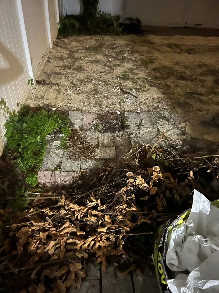 Affordable lawn care service experts serving Newark, OH - Tommy’s Family Lawn Care