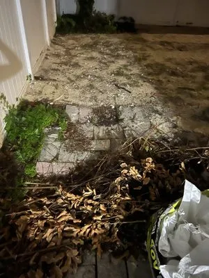 Tommy’s Family Lawn Care Logo