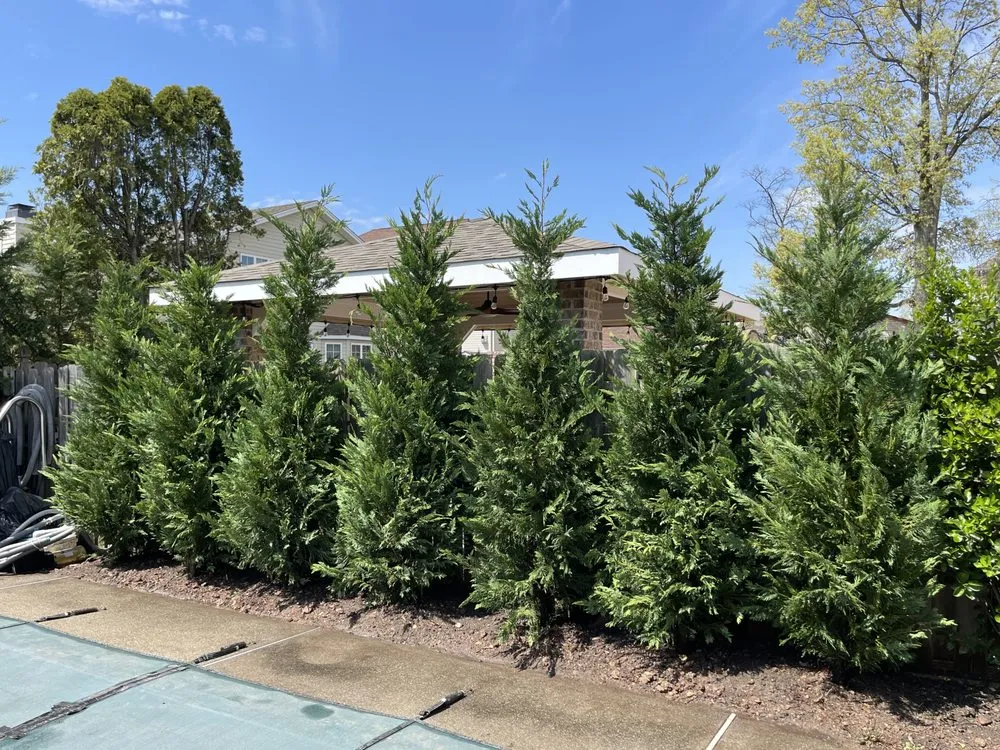 Local landscape installation near you in Staten Island, NY by Tommy’s Landscaping and Construction