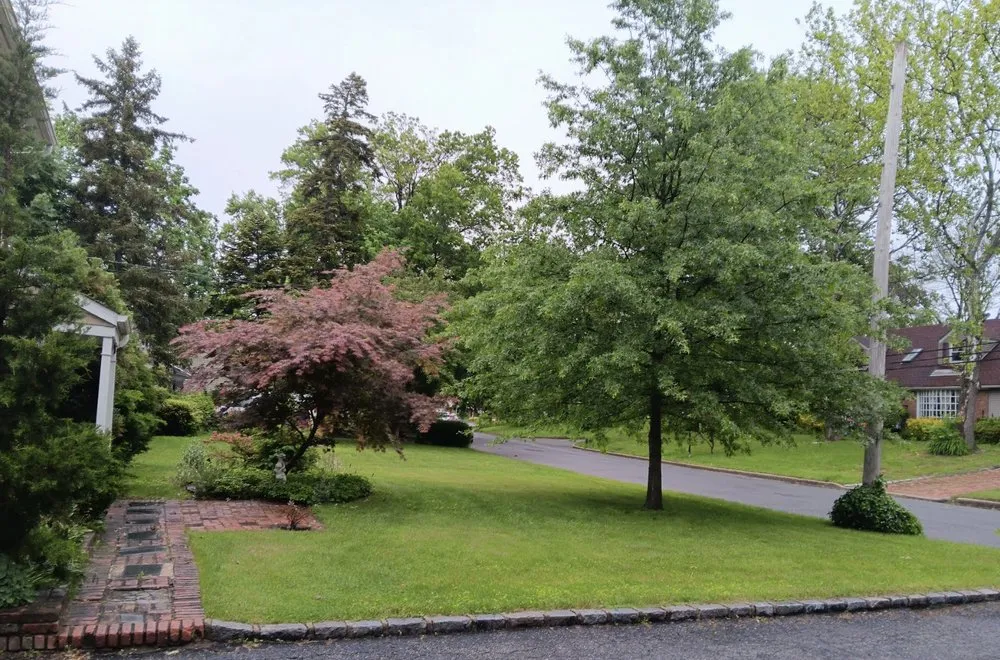 Local yard maintenance for outdoor upgrades in Glen Cove, NY by Tommy's Landscaping