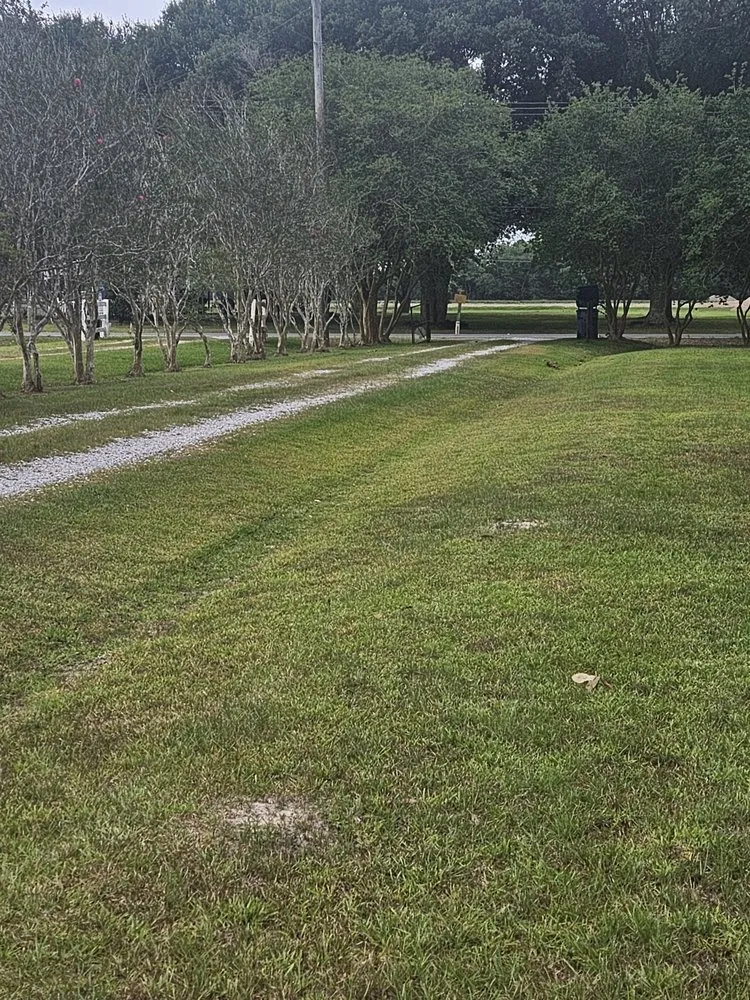 Custom yard cleanup service in Breaux Bridge, LA - Tommy's Lawn & Landscaping Services