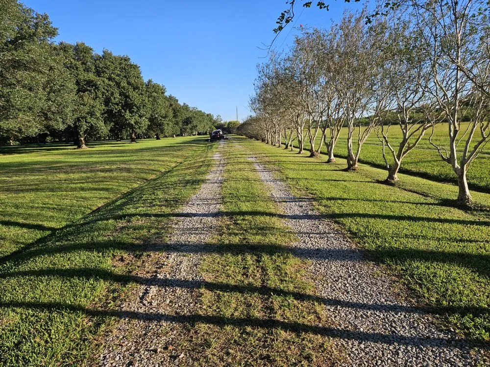 Reliable lawn mowing service experts serving Breaux Bridge, LA - Tommy's Lawn & Landscaping Services