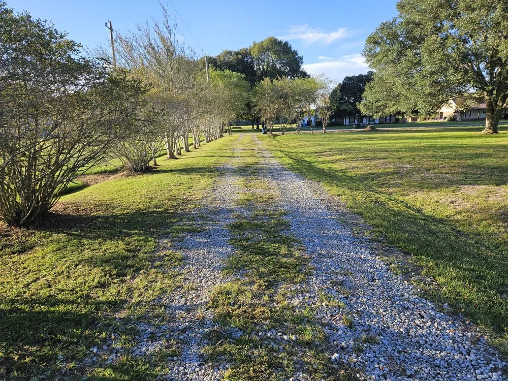 Expert yard cleanup service for residential properties in Breaux Bridge, LA by Tommy's Lawn & Landscaping Services