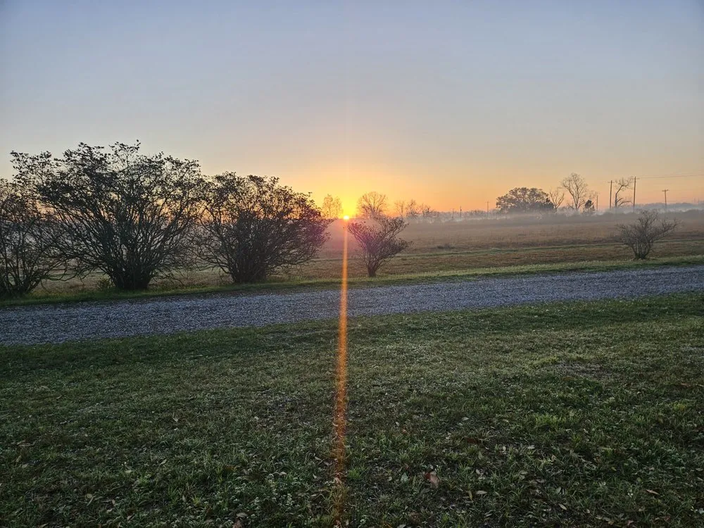 Reliable outdoor landscaping experts serving Breaux Bridge, LA - Tommy's Lawn & Landscaping Services