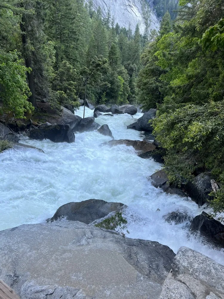 Affordable landscape design in Yucaipa, CA - Tommys Lawn Care And More