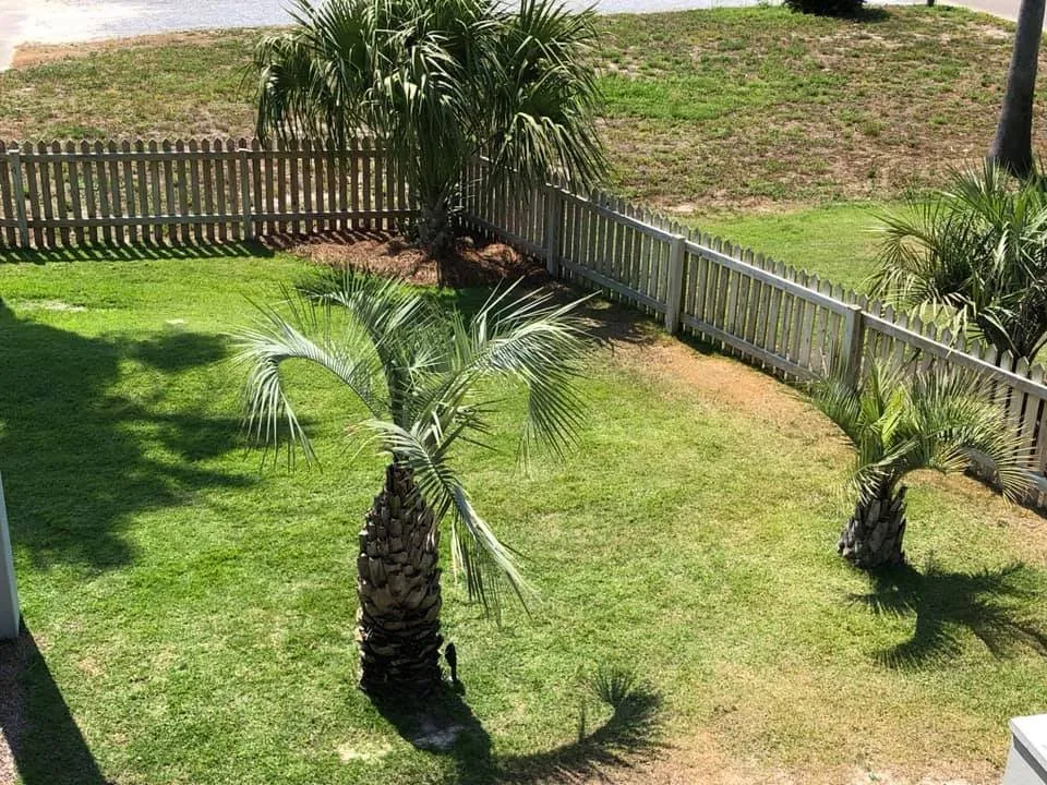 Trusted lawn mowing service experts serving Azalea Park, FL - Tommy’s Tree Service & Debris Removal