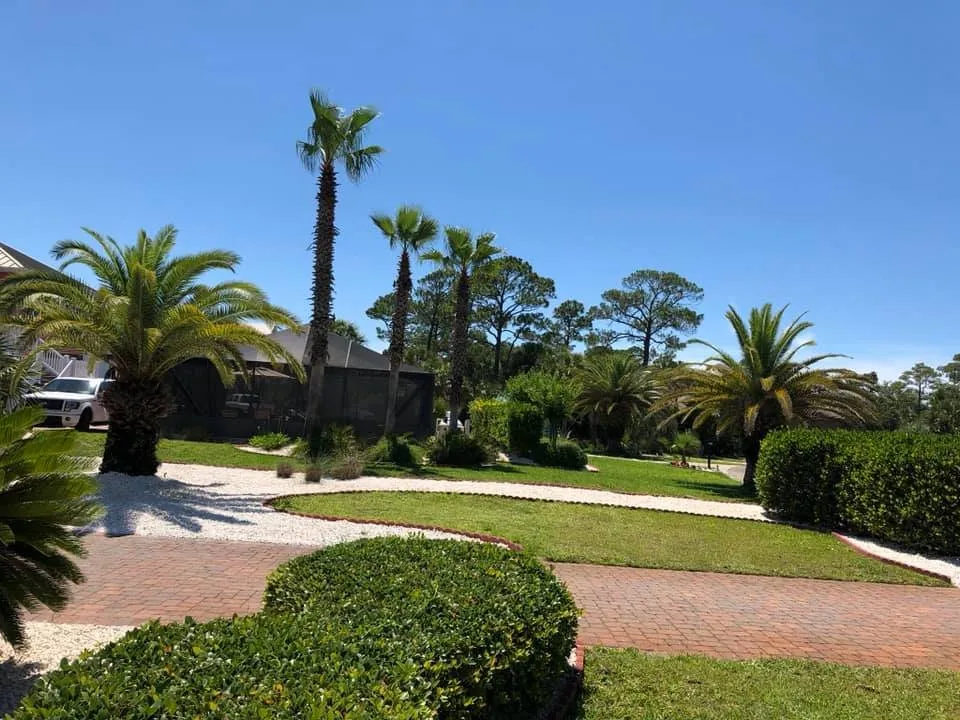 Local yard cleanup service experts serving Azalea Park, FL - Tommy’s Tree Service & Debris Removal