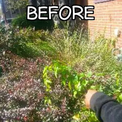 Top-rated lawn care service experts serving Swissvale, PA - Tommyz Grass cutterz