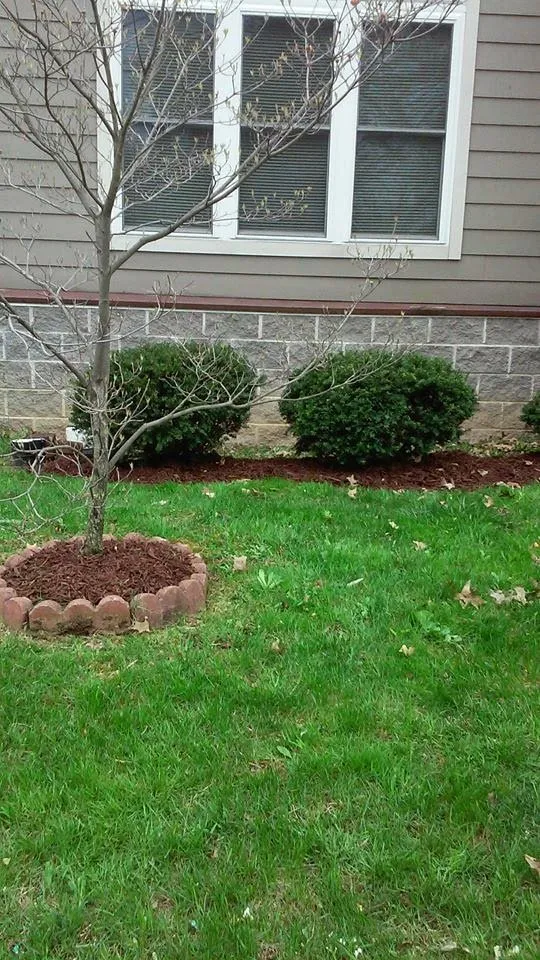 Affordable landscape installation experts serving Swissvale, PA - Tommyz Grass cutterz