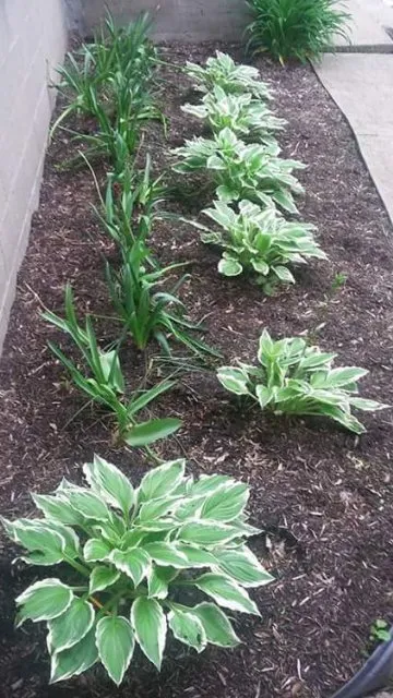 Local garden landscaping for outdoor upgrades in Swissvale, PA by Tommyz Grass cutterz