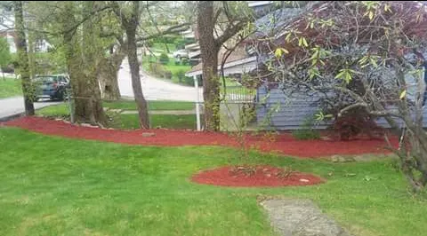 Affordable residential landscaping experts serving Swissvale, PA - Tommyz Grass cutterz