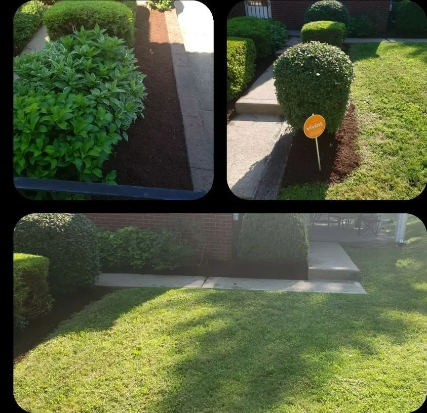Professional outdoor landscaping in Swissvale, PA by Tommyz Grass cutterz