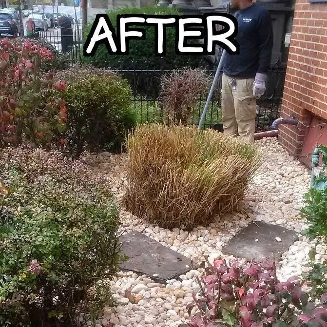 Reliable lawn mowing service in Swissvale, PA - Tommyz Grass cutterz