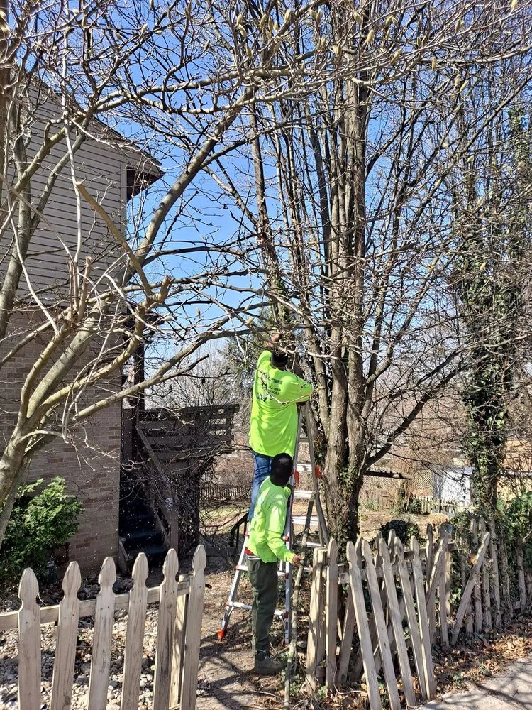 Professional landscape design with custom design across Swissvale, PA - Tommyz Grass cutterz