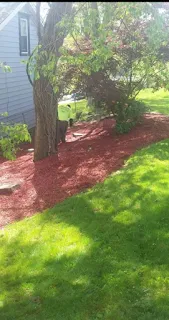 Trusted yard cleanup service for outdoor upgrades across Swissvale, PA - Tommyz Grass cutterz