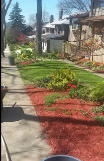 Expert yard maintenance for homes across Swissvale, PA - Tommyz Grass cutterz