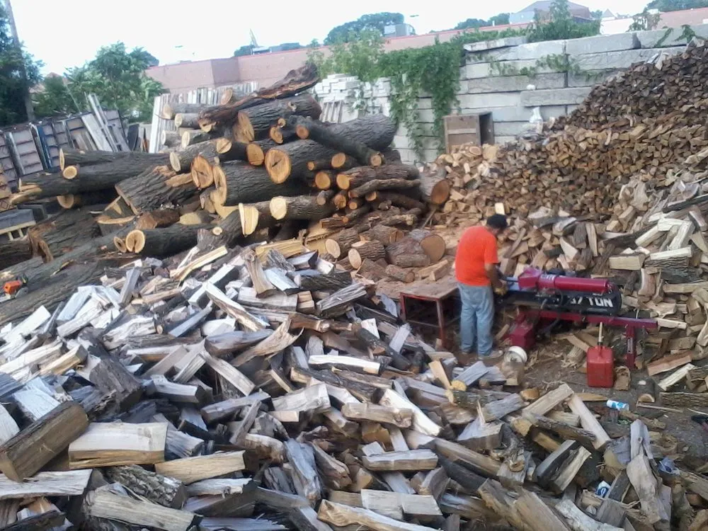 Custom landscape design in Chicago, IL - Tomotto