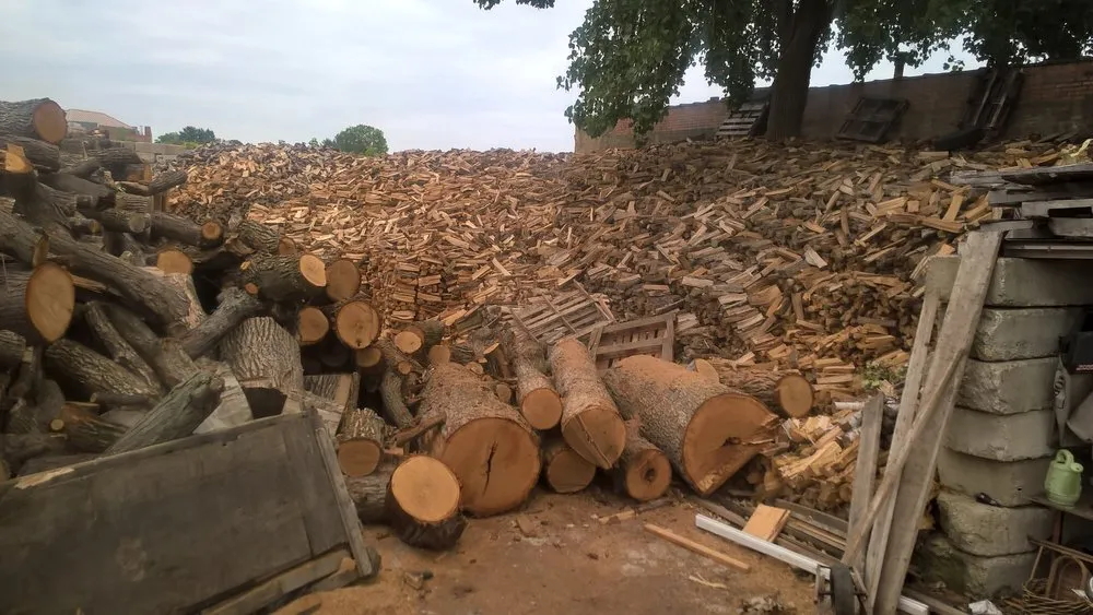 Expert residential landscaping in Chicago, IL by Tomotto