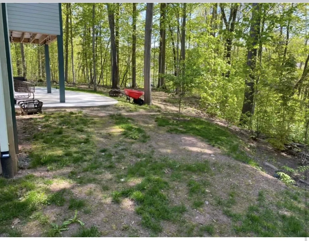 Expert yard maintenance for homes across Syracuse, NY - Tompkins Home And Property