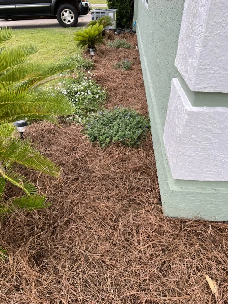 Trusted lawn care service in Panama City, FL by Toms Coastal Lawn Care