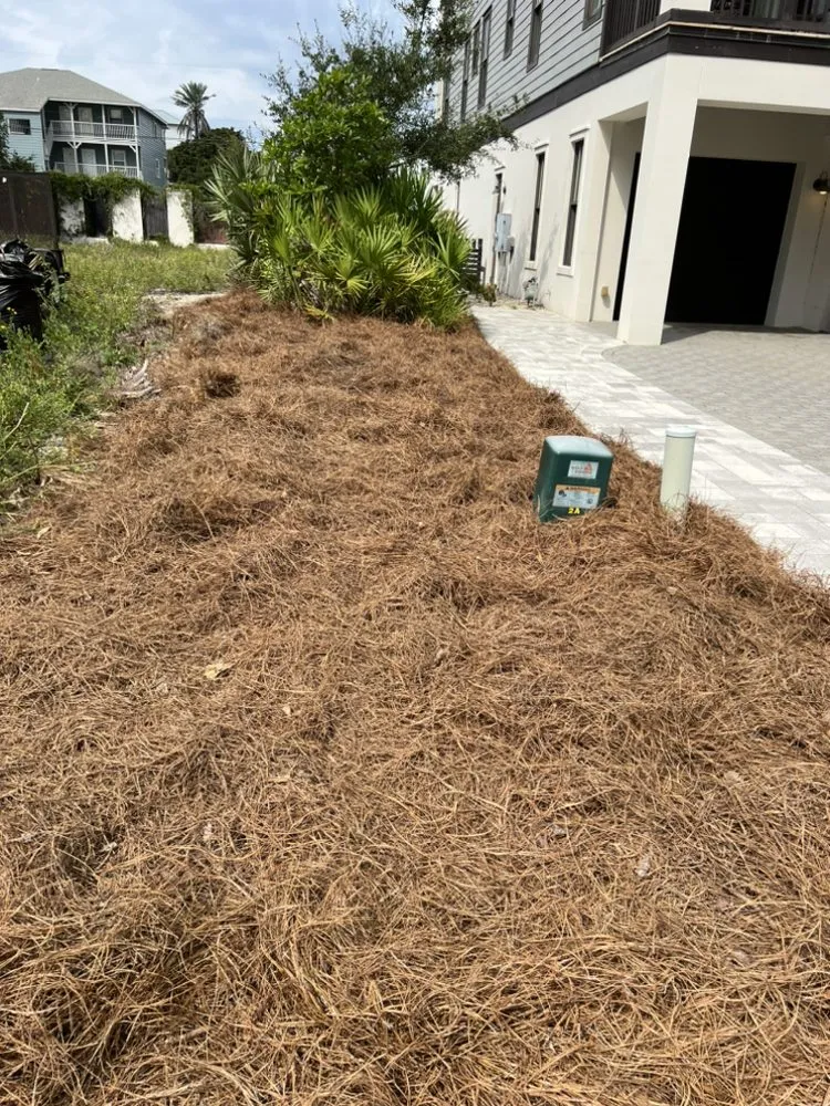 Reliable yard maintenance experts serving Panama City, FL - Toms Coastal Lawn Care