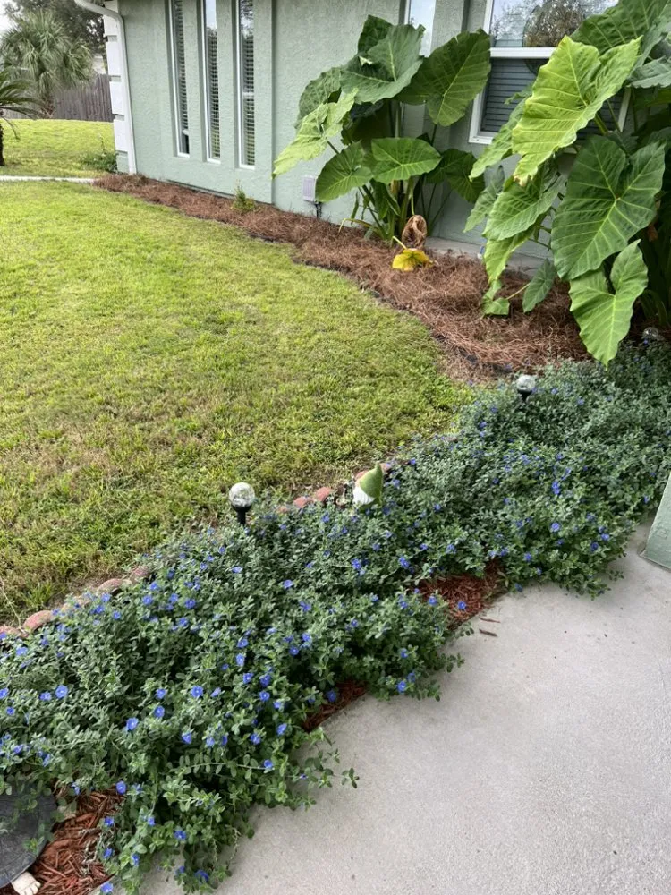 Trusted garden landscaping for year-round maintenance across Panama City, FL - Toms Coastal Lawn Care