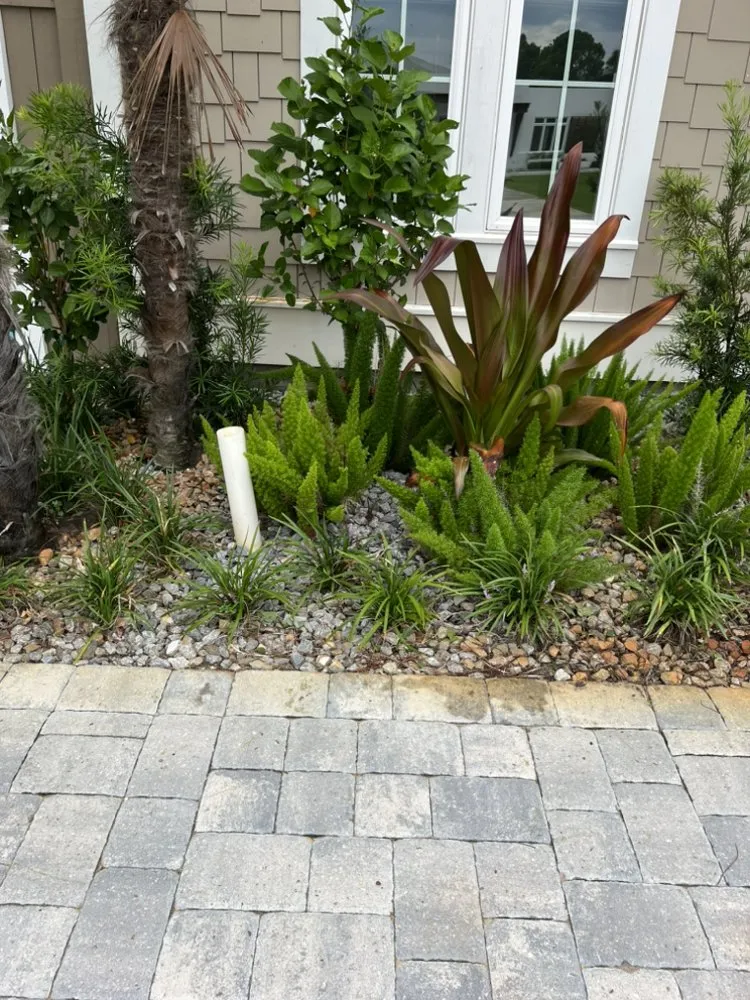 Professional outdoor landscaping in Panama City, FL by Toms Coastal Lawn Care