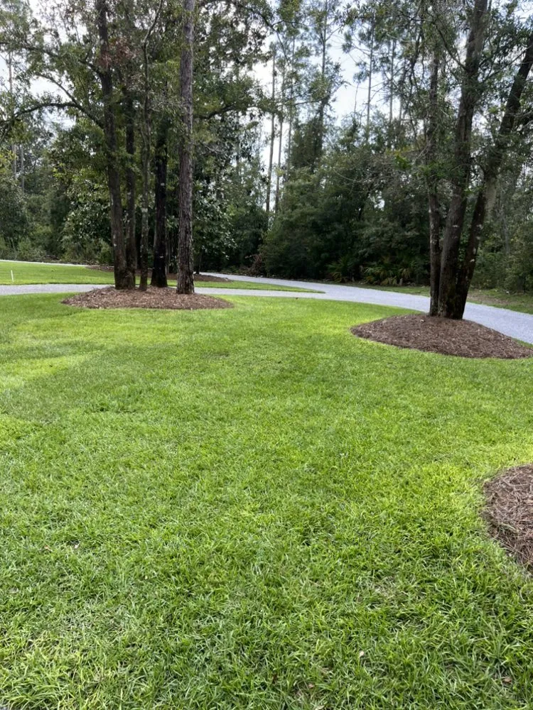 Local landscaping services for year-round maintenance across Panama City, FL - Toms Coastal Lawn Care