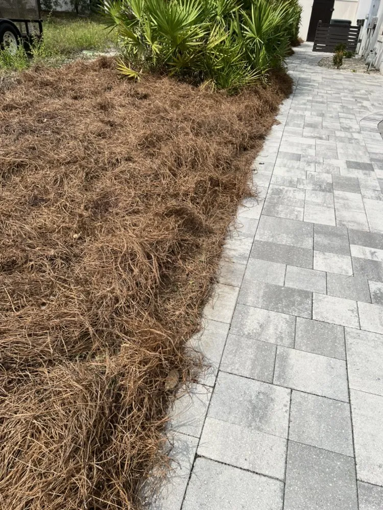 Affordable landscape installation experts serving Panama City, FL - Toms Coastal Lawn Care