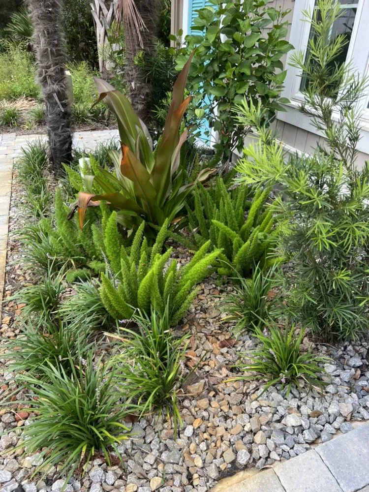 Reliable yard cleanup service for beautiful yards across Panama City, FL - Toms Coastal Lawn Care