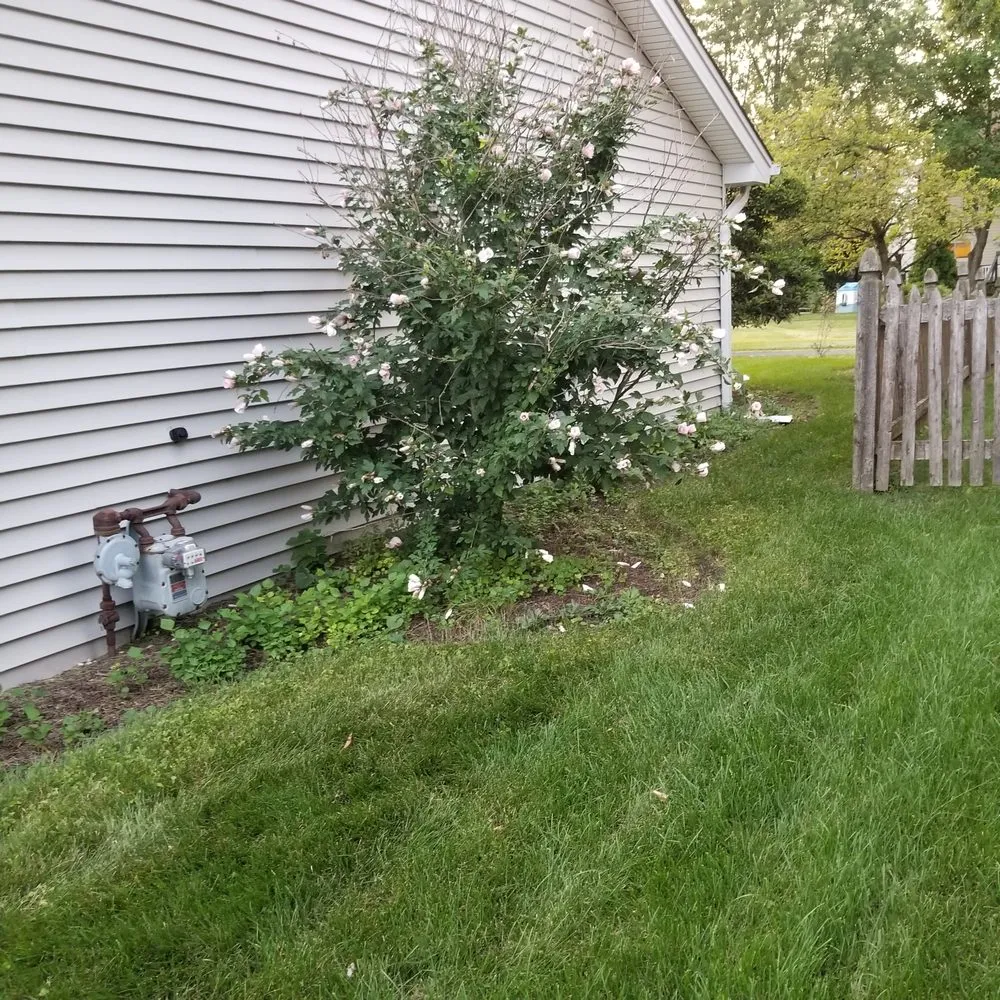 Professional landscape design for year-round maintenance in Sugar Grove, IL by Tom's Creative Landscaping