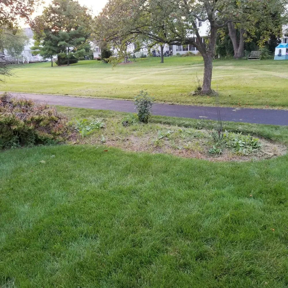 Affordable yard maintenance in Sugar Grove, IL - Tom's Creative Landscaping