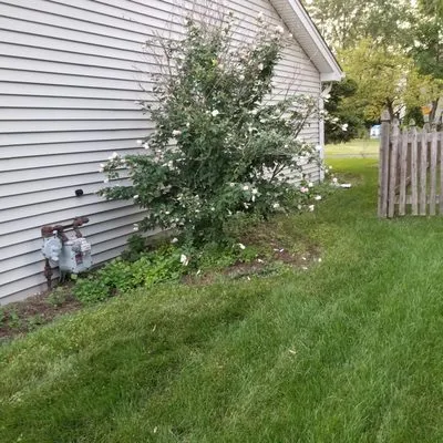 Tom's Creative Landscaping