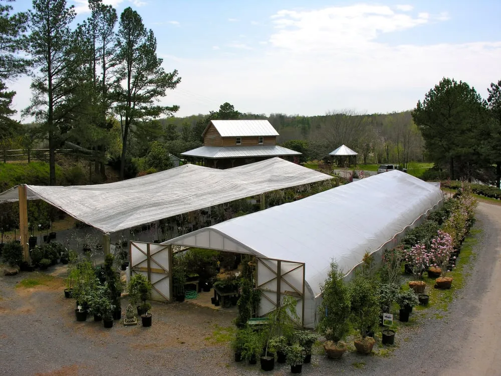 Local yard cleanup service in Denton, NC by Toms Creek Nursery & Landscaping