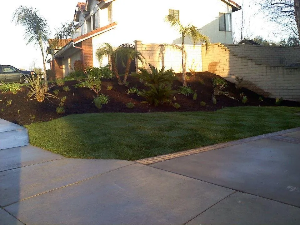 Trusted garden landscaping in Costa Mesa, CA by Tom's Environmental Care