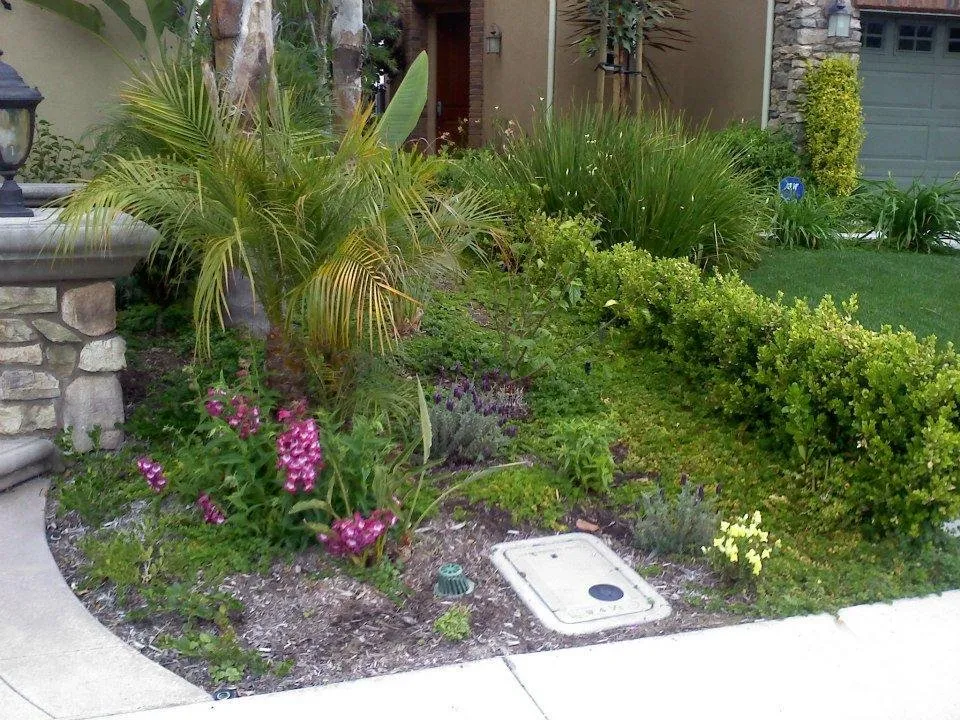 Professional residential landscaping for outdoor upgrades in Costa Mesa, CA by Tom's Environmental Care