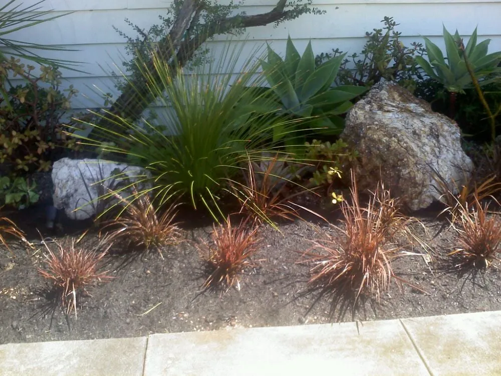 Reliable landscape installation in Costa Mesa, CA - Tom's Environmental Care