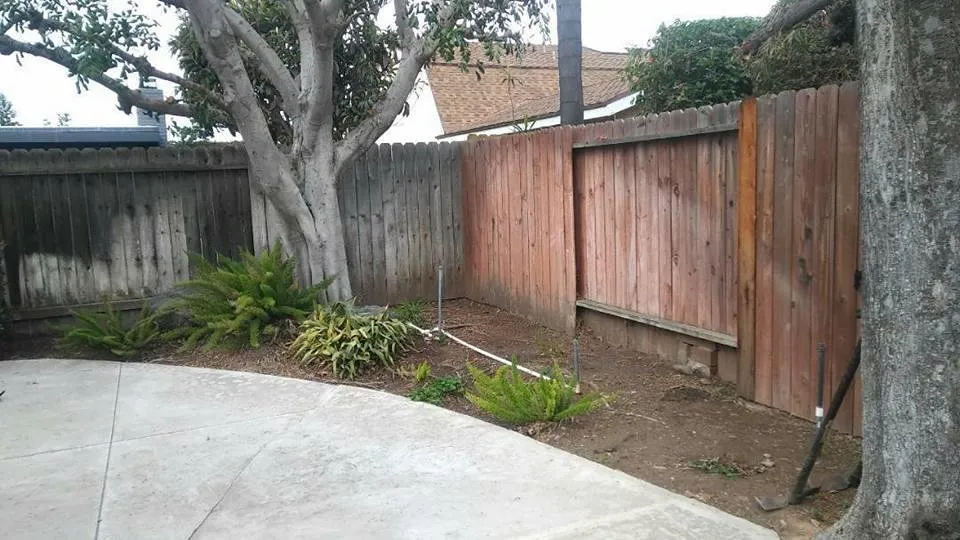 Custom outdoor landscaping experts serving Costa Mesa, CA - Tom's Environmental Care