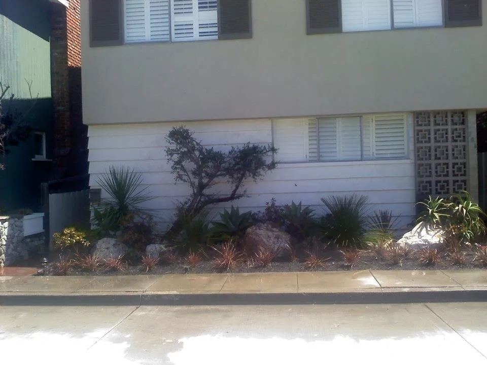 Local lawn mowing service in Costa Mesa, CA - Tom's Environmental Care