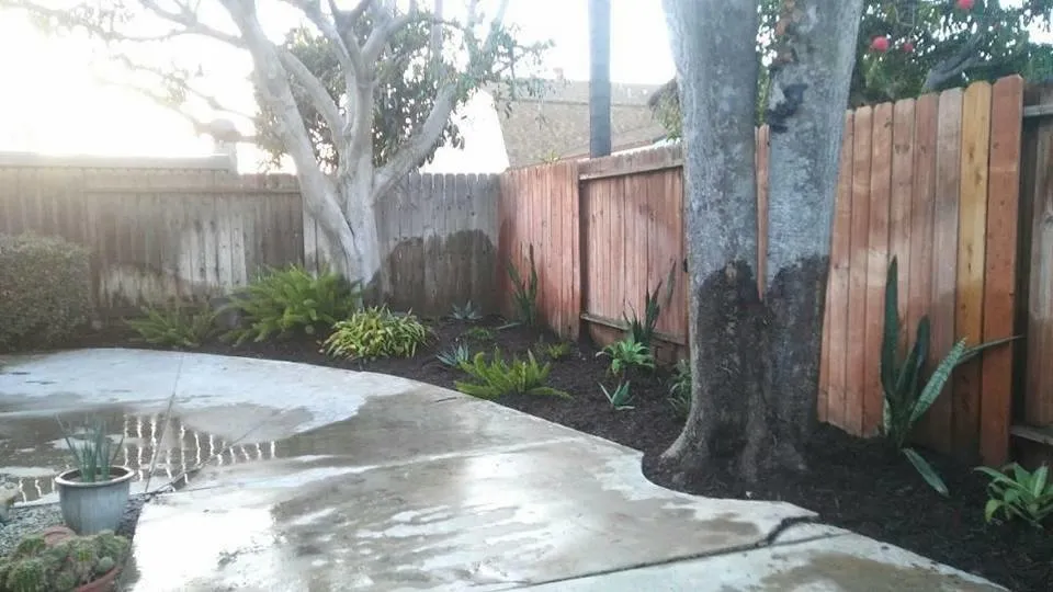 Reliable landscape installation near you across Costa Mesa, CA - Tom's Environmental Care