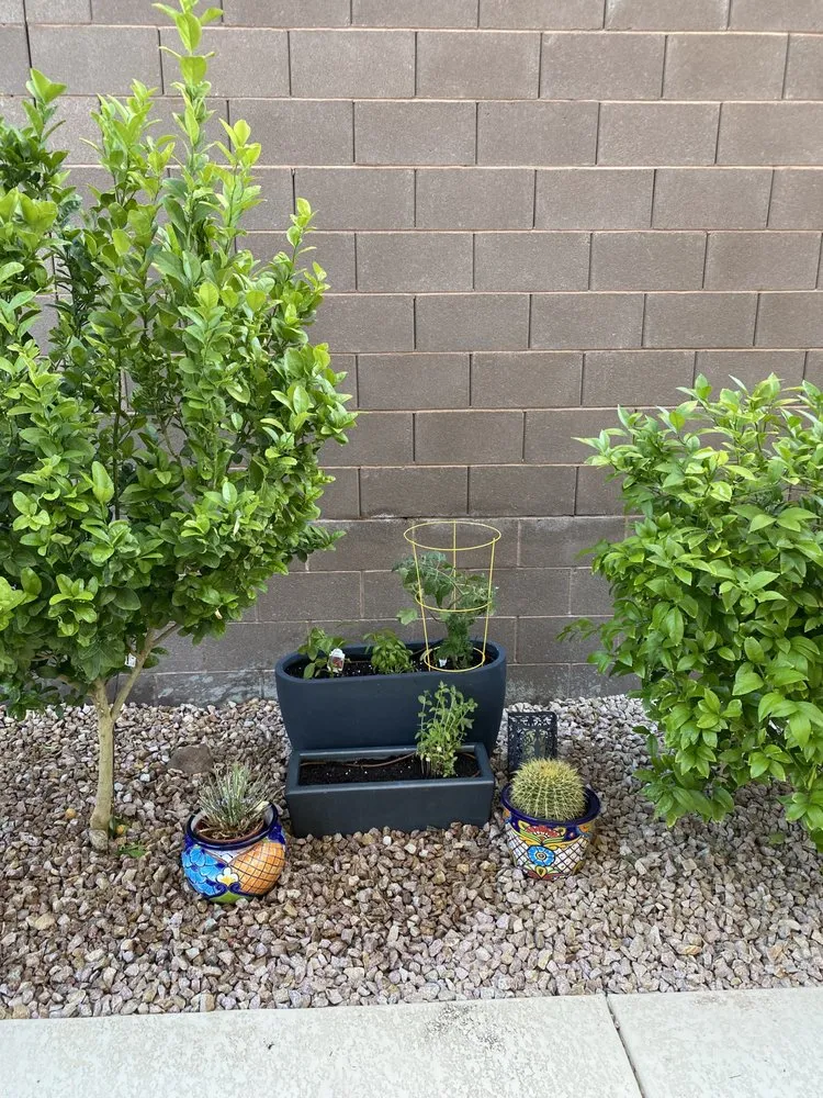 Professional landscape design experts serving NV, NV - Tom’s Garden & Landscape Service