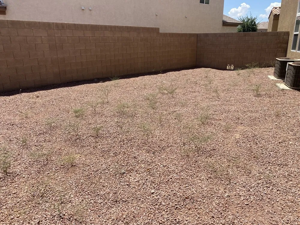 Affordable lawn care service in NV, NV - Tom’s Garden & Landscape Service