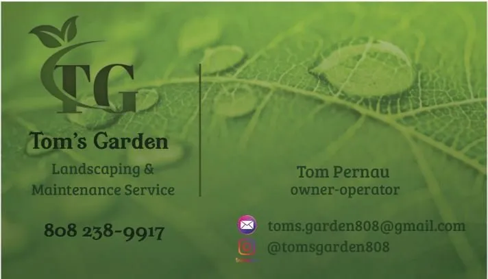 Expert yard maintenance in NV, NV by Tom’s Garden & Landscape Service