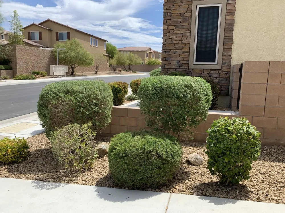 Affordable lawn care service in NV, NV - Tom’s Garden & Landscape Service