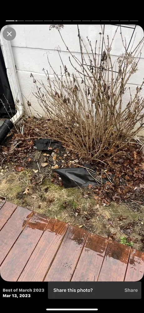 Affordable yard cleanup service in Harleysville, PA - Tom’s General yard work